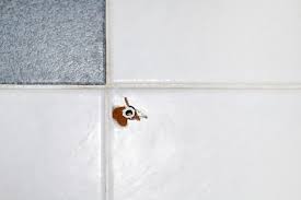 Alternativ zur herkömmlichen spachtelmasse oder zum silikon können sie auch ein fliesenreparaturkit verwenden, das es in vielen gängigen farben zu kaufen gibt. Fliesen Reparieren So Beseitigen Sie Risse Locher Co