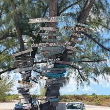 Manuel A. Catano (@mlo_manuelcatano) • Instagram photos and videos