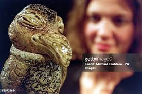 31 Michael Fine Art And & Antique Stock Photos, High-Res Pictures, and  Images