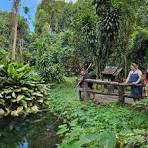 Forest Therapy India (@forest.therapy.india) • Instagram ...