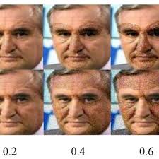 Results of Macro Edit Constraints According to Perturbation Method...