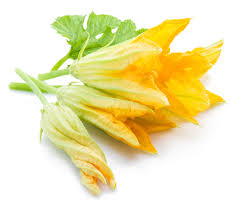 They can also be used as a pizza topping, or an addition to risotto, pasta, quesadillas & frittatas. Zucchini Flowers 50ct Mister Produce