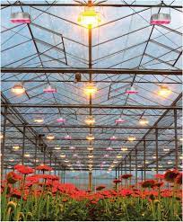 Maybe you would like to learn more about one of these? High Power Leds Grow New Markets In Horticulture