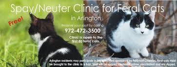 Free spay/neuter for cats of qualifying low income people. Call Friends Of Arlington Tx Animal Services Faas Facebook