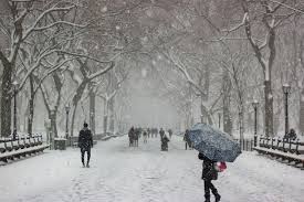 Winter is caused by the axis of the earth in that hemisphere being oriented away from the sun.different cultures define different dates as the start of winter, and some use a definition based on weather. Como Sobrevivir Al Invierno Y Aprender A Disfrutarlo Si Eres Inmigrante Venezuela Al Dia