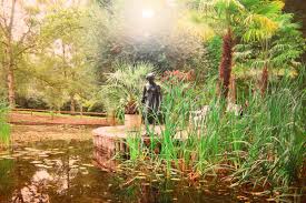 Rosenstadt sangerhausen gmbh gesellschaft für kultur, tourismus & marketing am rosengarten 2a 06526 sangerhausen. Botanischer Garten Documenta Stadt Kassel