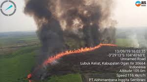The vicious cycle of ecosystem destruction(x)climate change is accel.erating severely and drives together with fossil fuel burning a runaway and abrupt sixth mass extinction at a. Indonesia Seals Off Plantations Operated By 29 Firms Over Fires Including Singapore Malaysian Companies Se Asia News Top Stories The Straits Times