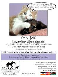 Maybe you would like to learn more about one of these? November Shot Special At Animal Welfare League Oak Lawn Il Patch