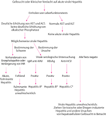 Dec 01, 2012 · hepatitis a is a common viral illness worldwide, although the incidence in the united states has diminished in recent years as a result of extended immunization practices. Akute Virushepatitis Im Uberblick Erkrankungen Der Leber Der Gallenblase Und Der Gallenwege Msd Manual Profi Ausgabe