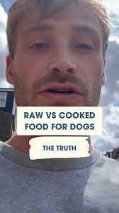 I don't ALWAYS recommend raw, which might shock some of you., What really  matters is the nutrients that your dog's consuming. , Let me know where you  stand in the raw vs cooked debate below. , Cam
