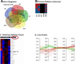 Image result for bioinformatics heatmap