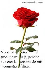 No Se Si Eres El Amor De Mi Vida Pero Se Que Eres La Persona De Mis Momentos Felices Poemas De Amor Romanticos Poemas De Rosas Poemas De Amor