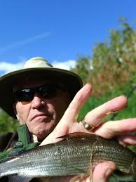 Trotting for grayling and trout in Durham city centre in the free stretch.  It was a lovely session. Hopefully you like the new style video.