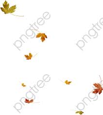 Falling Leaves Png Clipart Fall Images Clip Art Png