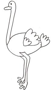 Ostrich Coloring Pages For Kids Preschool And Kindergarten Coloring Pages Coloring Pages For Kids Cool Coloring Pages
