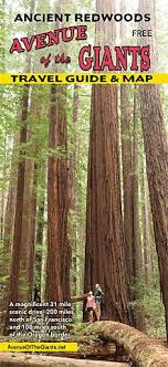 On the avenue of the giants redcrest resort is a great place for a relaxing vacation, holiday, romantic getaway or a family reunion. Avenue Of The Giants Northern California Us Hwy 101 Info On Area Nearby Towns Food Lo Northern California Travel Oregon Coast Camping California Travel