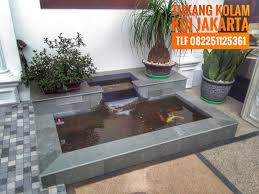 Nah, dalam kesempatan kali ini, akan kita pelajari. Jasa Pembuatan Filter Kolam Koi Jakarta Tukang Kolam Koi Minimalis Jakarta Jasa Kolam Jakarta