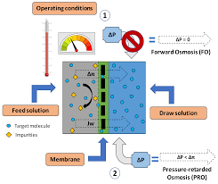 Hydrogen bonding can occur between ethanol molecules, although not as effectively as in water. Energies Free Full Text Factors Affecting The Performance Of Membrane Osmotic Processes For Bioenergy Development Html