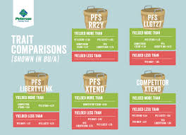 Trait Comparison Chart Peterson Farms Seed