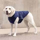 Do Dog Sweaters Keep Dogs Warm? | Canada Pooch