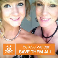 GRIZZLY (A1442060) 1yr 3mos old stray pom I am a male sable Pomeranian. The  shelter staff think I am about 1 year and 3 months old and I weigh 22  pounds. I