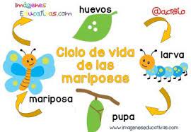 Pin En Cosas Interesantes