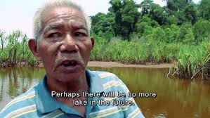 The colourful folklore and legends of this enchanting lake reflect the imagination of the original people, the orang asli (aborigines) of the jakun tribe. Tasik Chini Eco System On A Brink Youtube