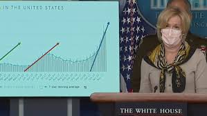 We did not find results for: White House Coronavirus Task Force Gives Briefing As Cdc Warns Against Thanksgiving Travel Newsnation Now