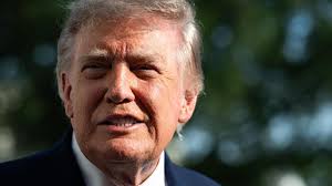 Los votantes de Florida están divididos en su aprobación del presidente Trump, según nueva encuesta