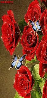 Mawar, tulip, kamboja, anggrek, edelweiss, lavender, bougenville, yang cantik, indah dan terbaru. Paling Hits 30 Gambar Wallpaper Bunga Mawar Bergerak Richi Wallpaper