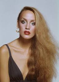 Hair Idol 70s Hair And Makeup Disco Makeup 1970s Hairstyles