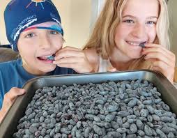 Lacombe & Area Info & Watch Community Group