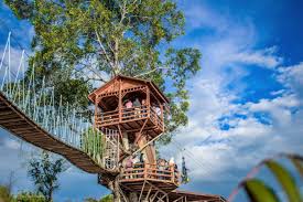 We did not find results for: Bukit Cinangkiak Solok Tiket Masuk Wahana Permainan Pilihan Yang Seru Potret Terkini Lokasi Situs Wisata Budaya