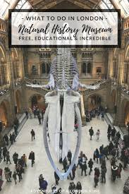 The Natural History Museum London A Walk Through Time Natural History Museum London History Museum London Museums