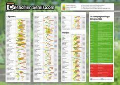 Calendrier Des Semis A2 Legumes Herbes Compagnonnage Potager Calendrier Des Semis Semis Calendrier Jardinage