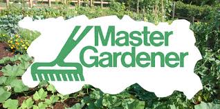 The master gardeners are not manning the phones for the foreseeable future but don't worry, we can still answer your gardening questions. Cornell Cooperative Extension Home Gardens Grounds