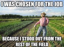 Funny Corn Memes Corn Field Farmer Meme Funny Puns Laugh Humor