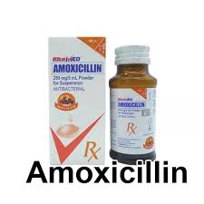Image result for Amoxicillin