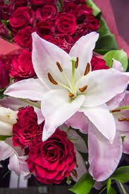 Prestige flowers offers a selection of charity bouquets too. Be Mine Romantic Flowers Prestige Flowers Most Beautiful Flowers Beautiful Flowers Flowers