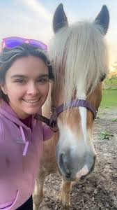 ISO boarding for 1 mare within 30 minutes of Elyria OH. Open to full or  partial care, max budget $550/mo.