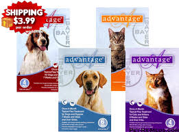 Discount Advantage For Dogs And Cats Buy As Low As 23 95 Pet Meds Dogs Dog Training Near Me