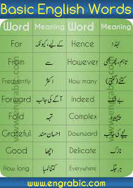 1000 Verb With Urdu Meanings Archives Engrabic In 2021 English Vocabulary Words Learning English Phrases Sentences English Words
