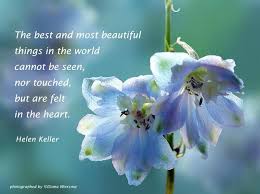 Pin By Laura Freeman On Words Of Wisdom Flower Quotes Wise Words Quotes Beautiful Flowers Images