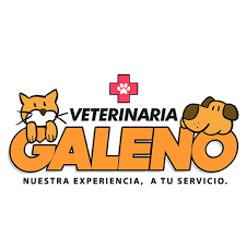 Veterinaria Galeno