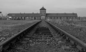 The Architecture of the Holocaust ...