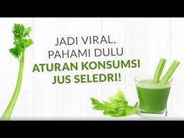 Seledri merupakan salah satu tanaman yang kerap digunakan untuk menurunkan tekanan darah tinggi. Aturan Konsumsi Jus Seledri Jangan Sampai Salah Youtube