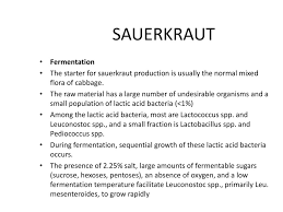 Wine Production Ppt Download