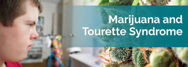Marijuana For Tourette S Syndrome Marijuana Doctors