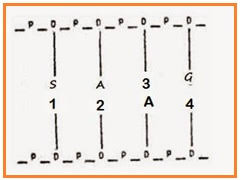 Download soal uas penjaskes smp kelas 7 semester 1 kurikulum 2013. Soal Penjas Kelas 7 Essay