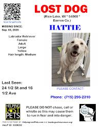 A free flyer will be created for you to use. Still Missing Hattie From Lost Dogs Of Wisconsin Facebook